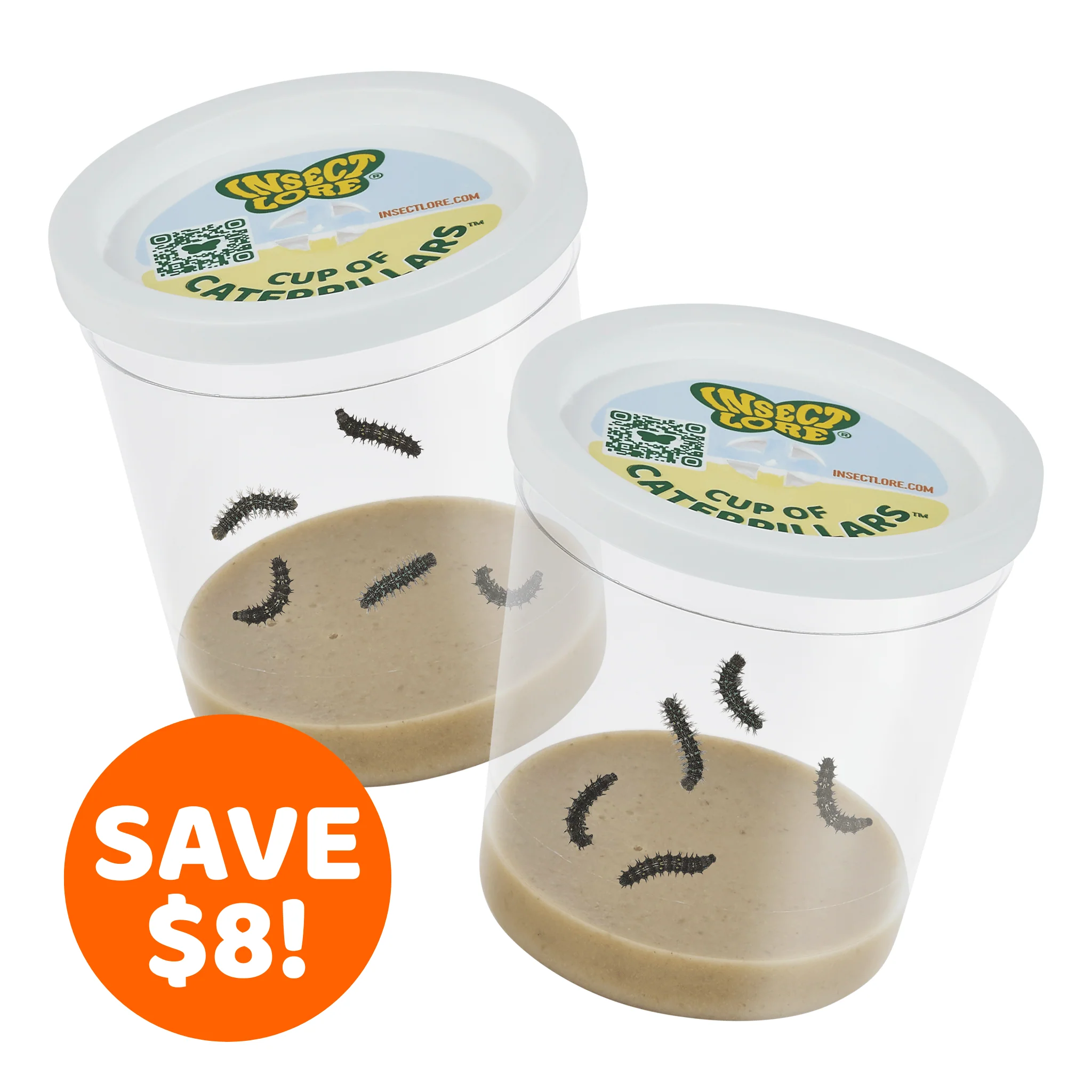 Cup of Caterpillars Refill for Butterfly Habitats